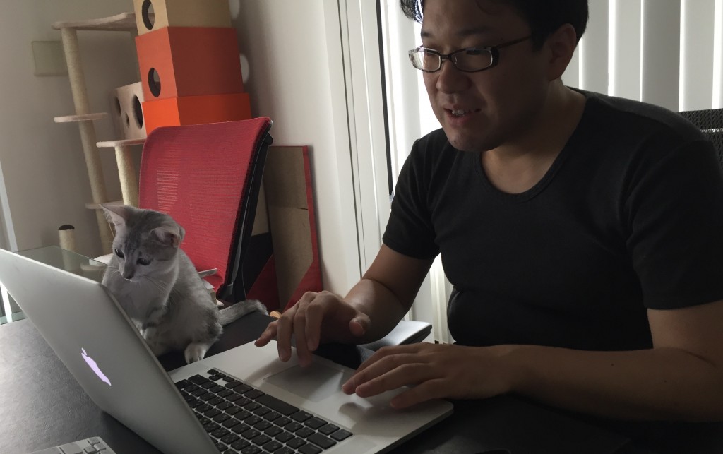 猫には癒やしきれない仕事のストレスもあります